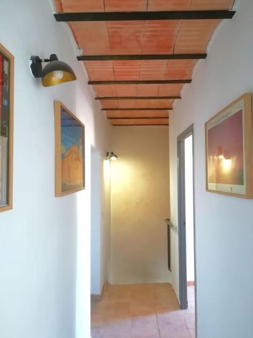 Villa la Alhábega Villena Exterior foto